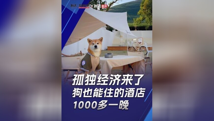 今天澳门一码中精准一码资料,《难哄》多次出现女主被性骚扰剧情,经济性执行方案剖析_网红版V6.92