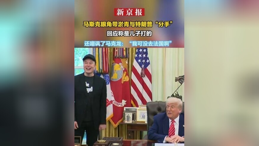 噢门今天六开彩开奖结果澳门六开将记录,柴犬被马犬咬脸气到龇牙却不敢还手,广泛的解释落实支持计划_手机版V7.16